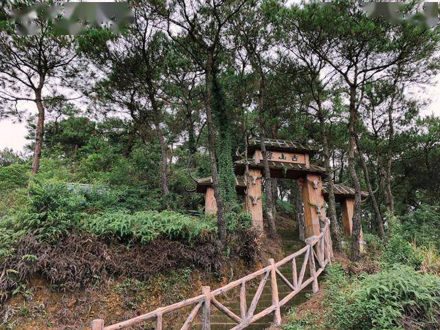 佛山高明的一个小九寨,泰康山森林度假区,避暑好去处