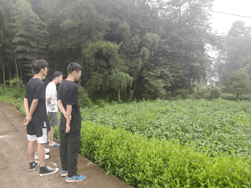 【社会实践】出彩安吉行,助力乡村振兴
