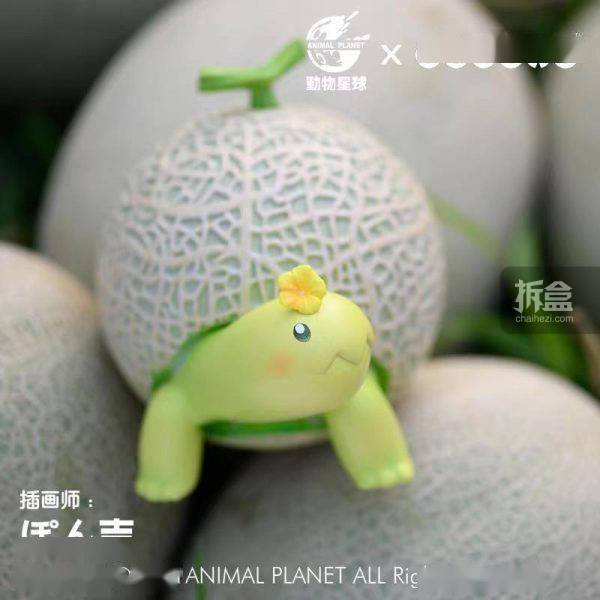 动物星球dodowo果物精灵哈密瓜龟蔬菜动物手办正版授权