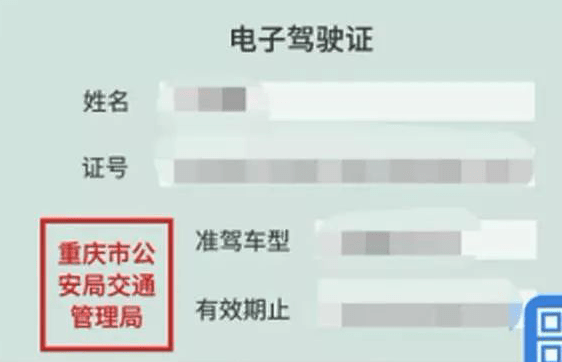 我国超195万人领取电子驾驶证预计2022年全面推行