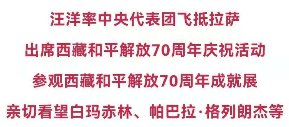 汪洋率中央代表团飞抵拉萨出席西藏和平解放70周年庆祝活动