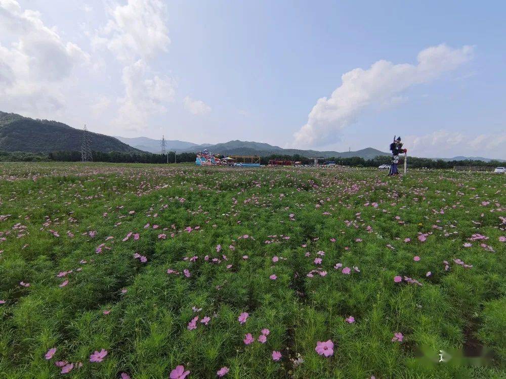 走进水岸花芊谷,邂逅不一样的秋天_弓长岭区