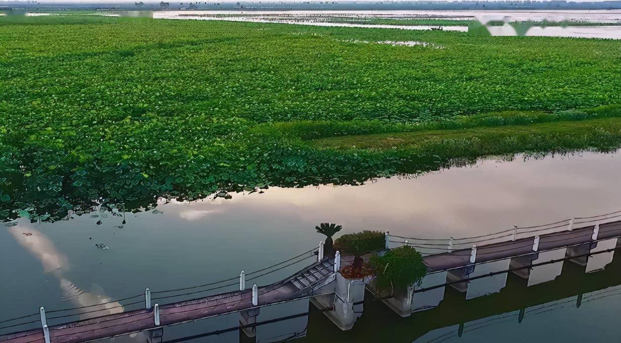 汈汊湖国家湿地公园管理中心挂牌_汉川