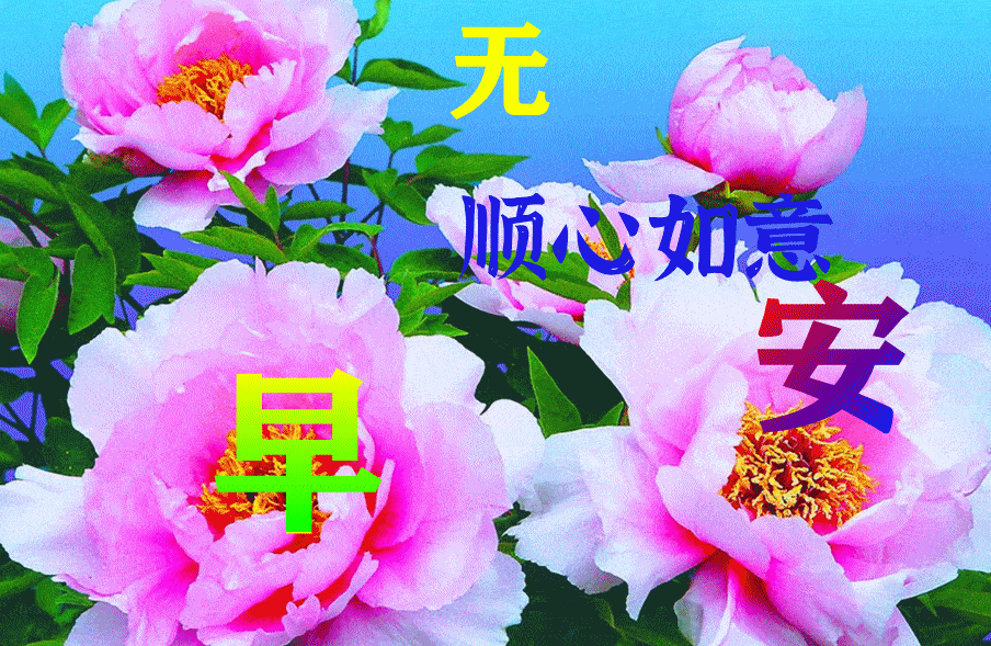 8月24日最漂亮早上好动态表情图片大全早上好动图美图大全