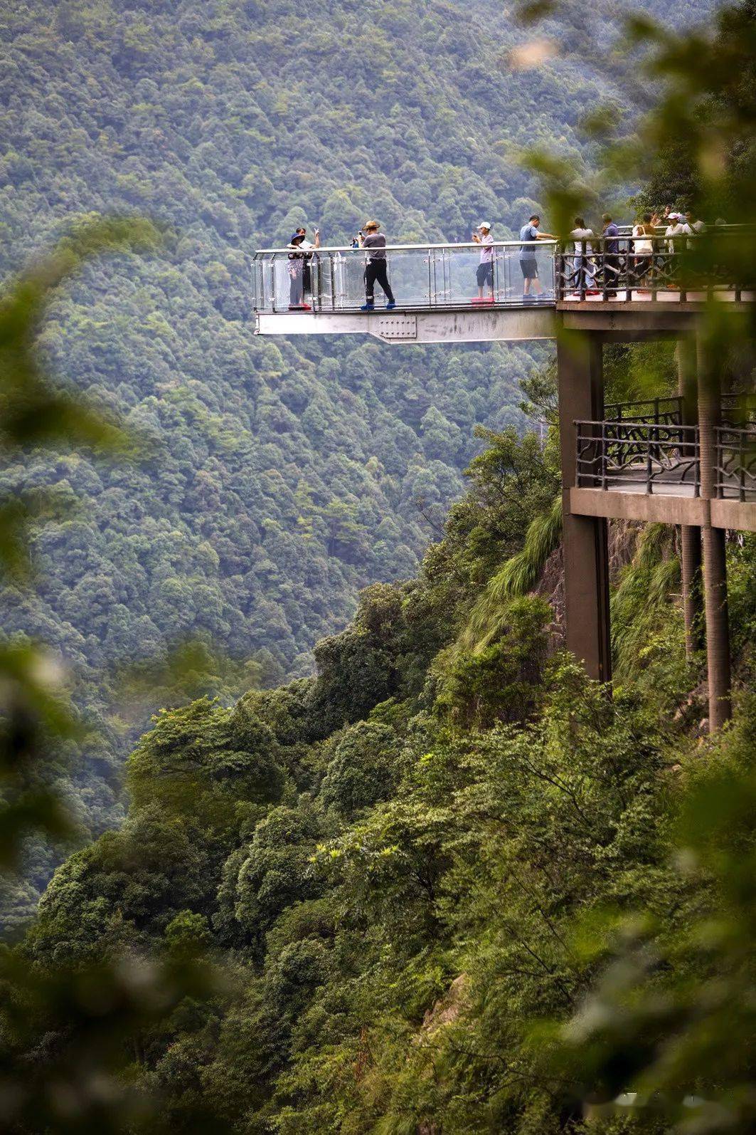 暑假倒计时 | 您的安远三百山旅游福利未接收,请速速查收!