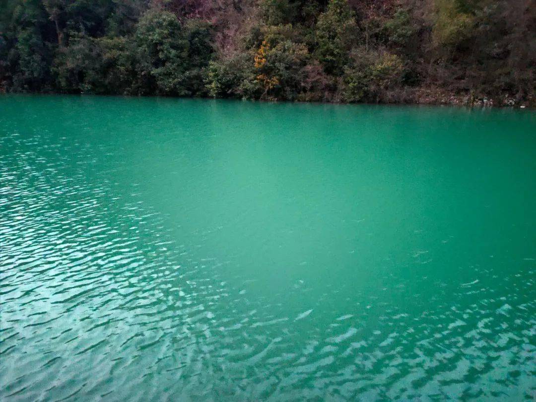 《江西日报》点赞修水县上衫乡土龙山景区总经理吴维民和他的旅游梦!