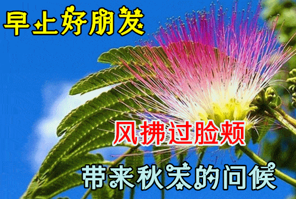 8月25日最漂亮早上好动态表情图片大全,早晨好动图美图大全