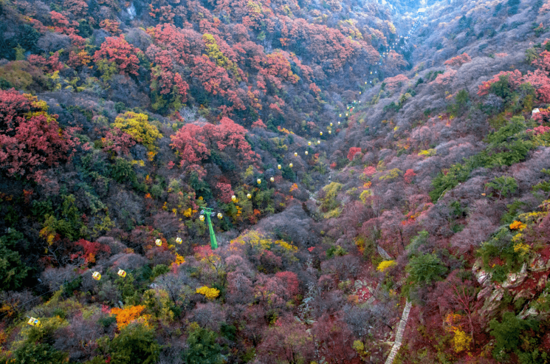 秋天的第一道美景 尧山红叶大片预告