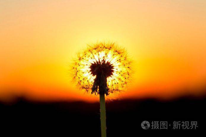 不负时光,不负自己