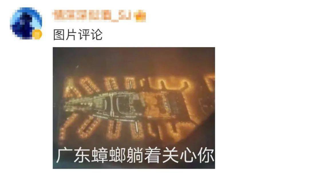 广东最大蟑螂是白云机场上热搜官方回应解释蟑螂腿