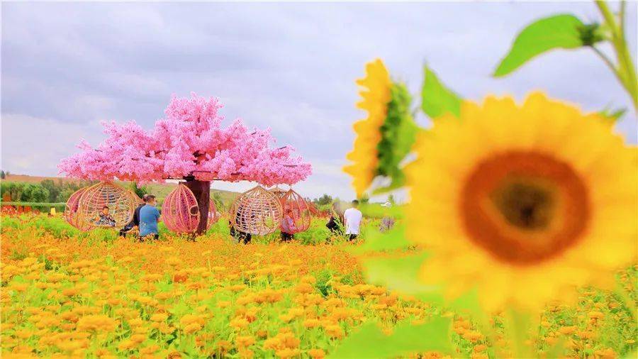 没有一个人能够抵挡周杰伦的《花海》,也没有一个神木