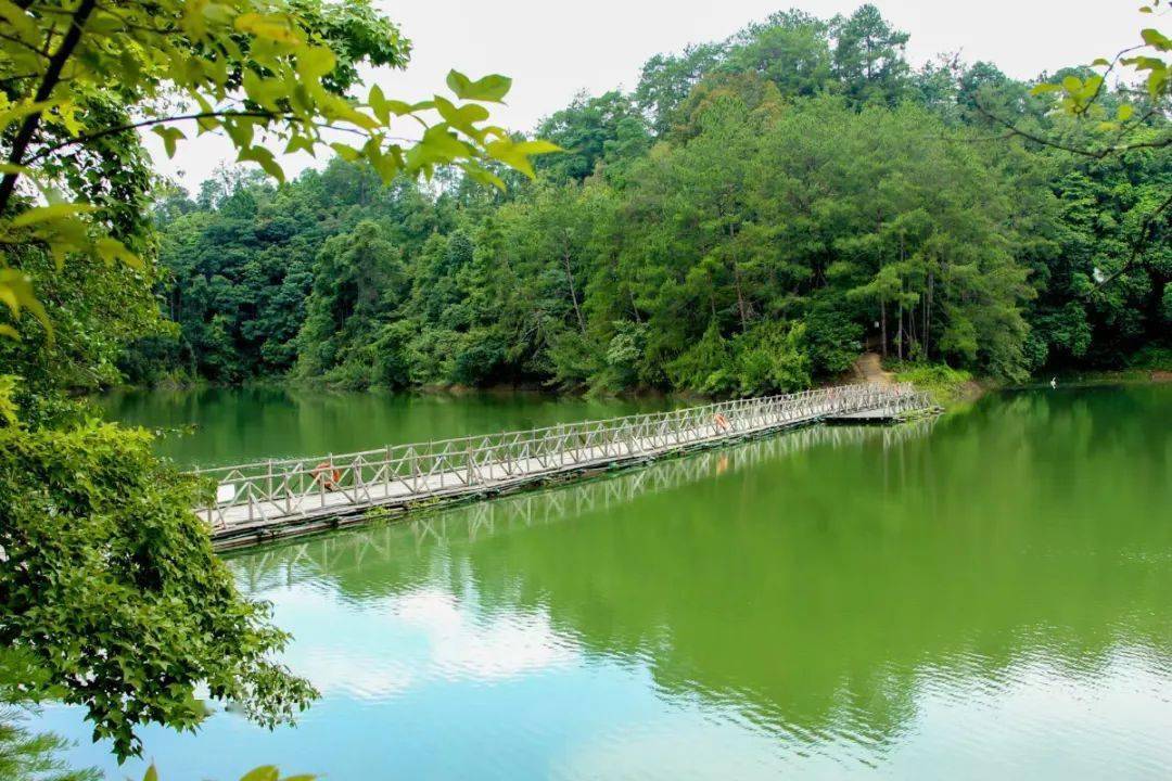 但见湖水环抱群山 叠山倒映湖中 行舟碧波上 人在画中游 乘船游湖最