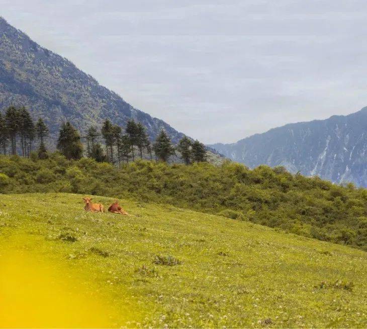 9月5日 熊猫坪 人间忽晚,山河已秋,带你走进森林,踏进原野