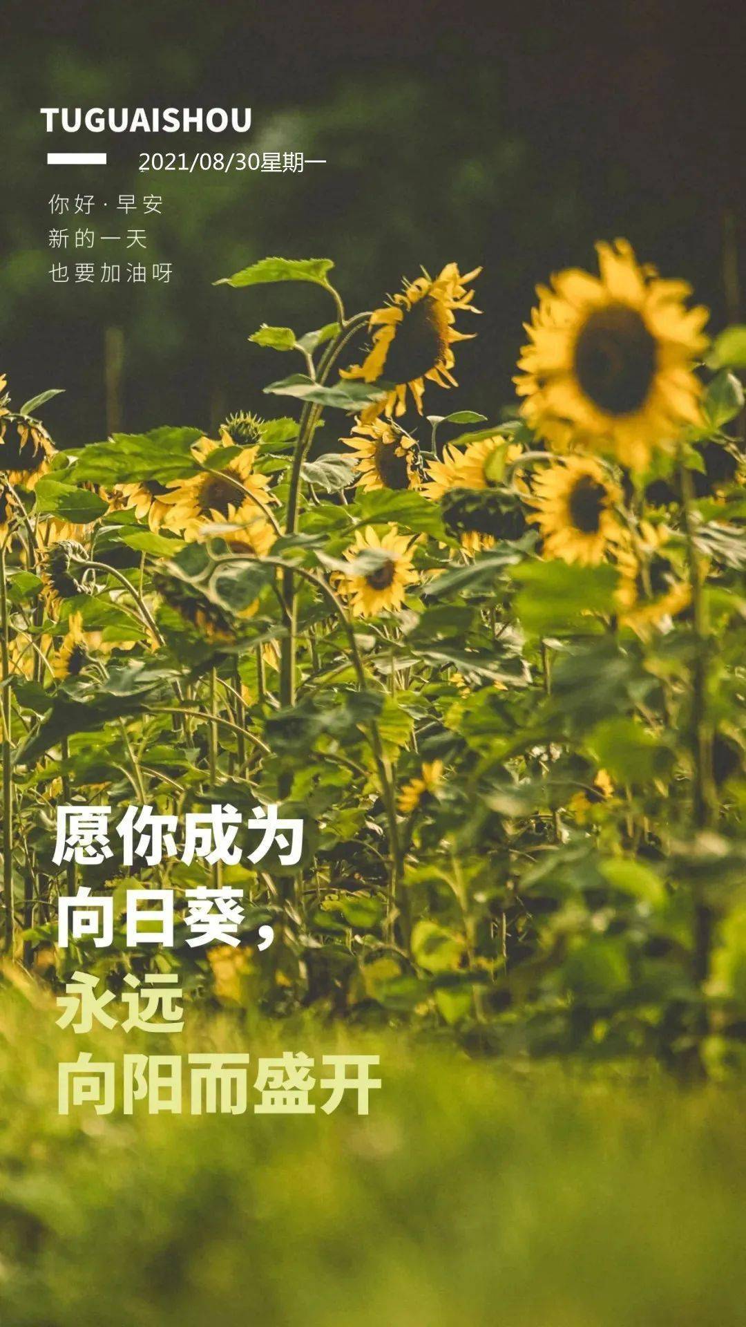 8月30日早安 | 新的一天,加油,做最棒的自己