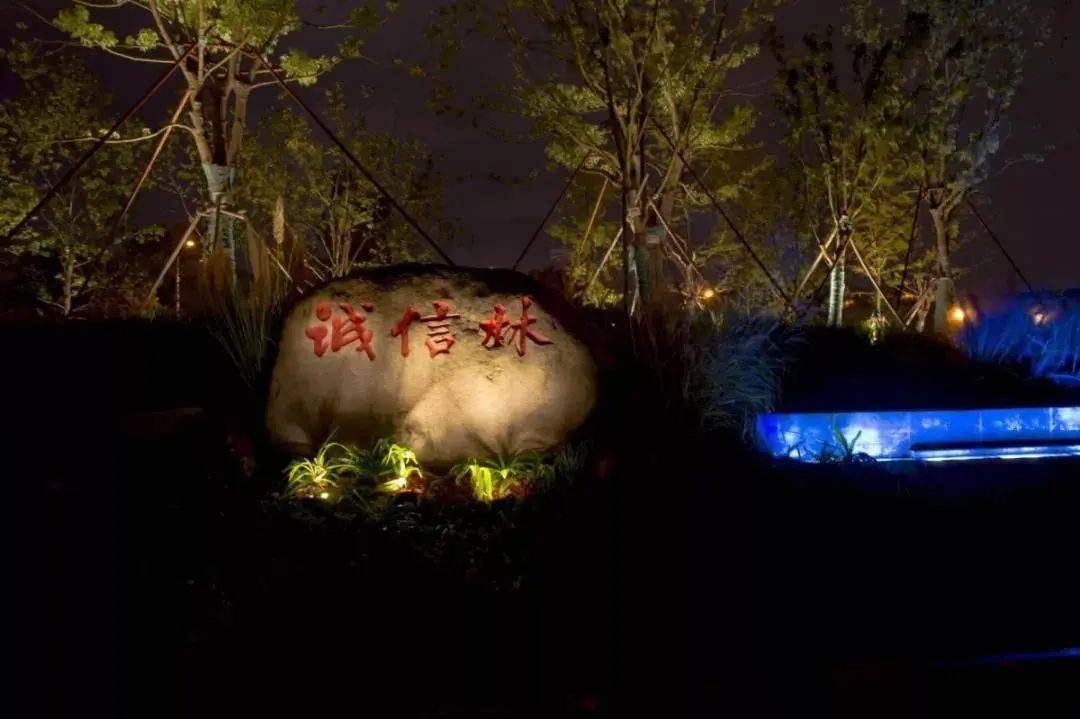夜景灯光 花园一景