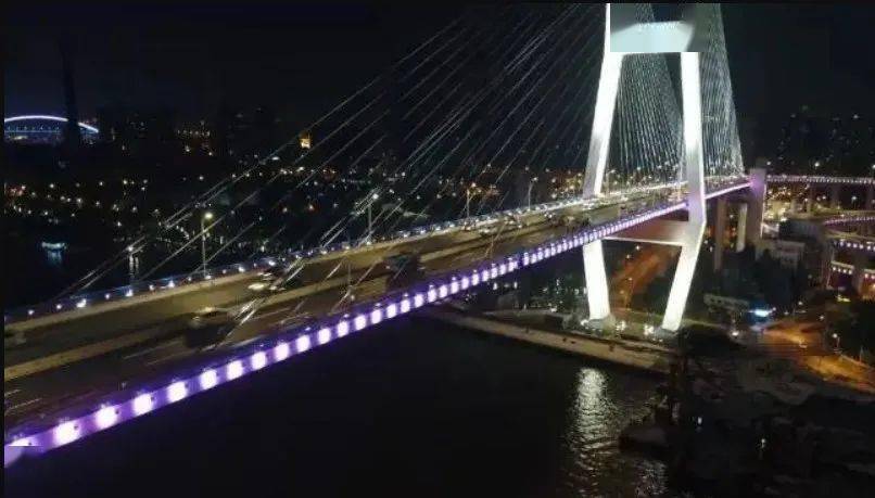 上海人差点没认出!南浦大桥一夜爆红,原因太意外