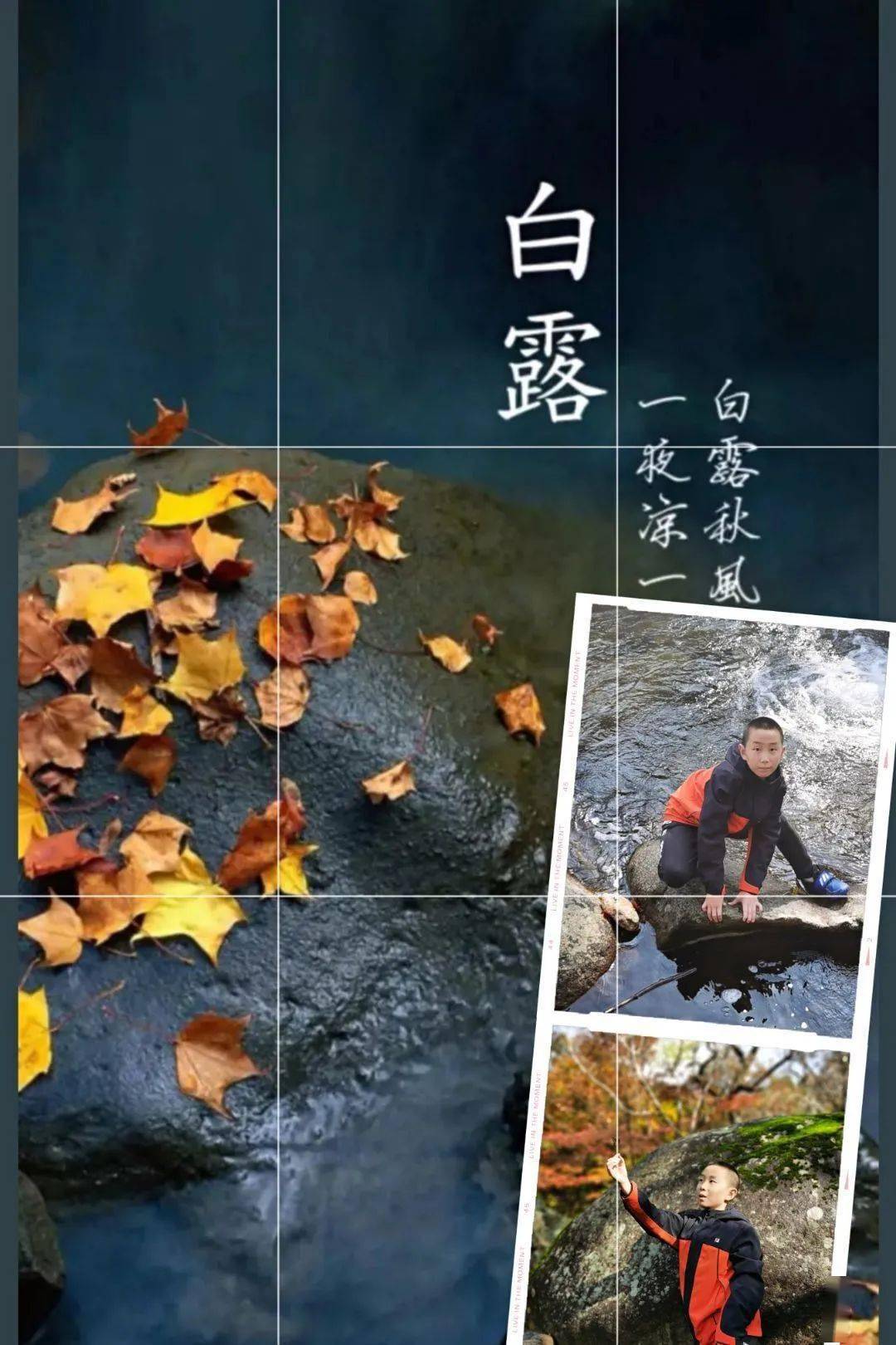 吉化一实验 | 传统文化 · 二十四节气--白露