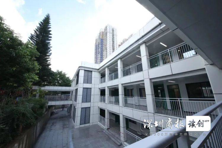 由中集集团旗下中集建筑设计院承建的深圳市罗湖区笋岗中学小学部也在