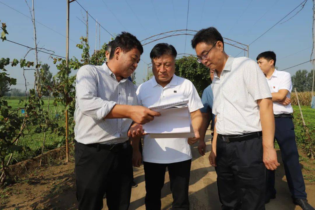 武安军参加阳村街道政协联络组"有事来商量"活动