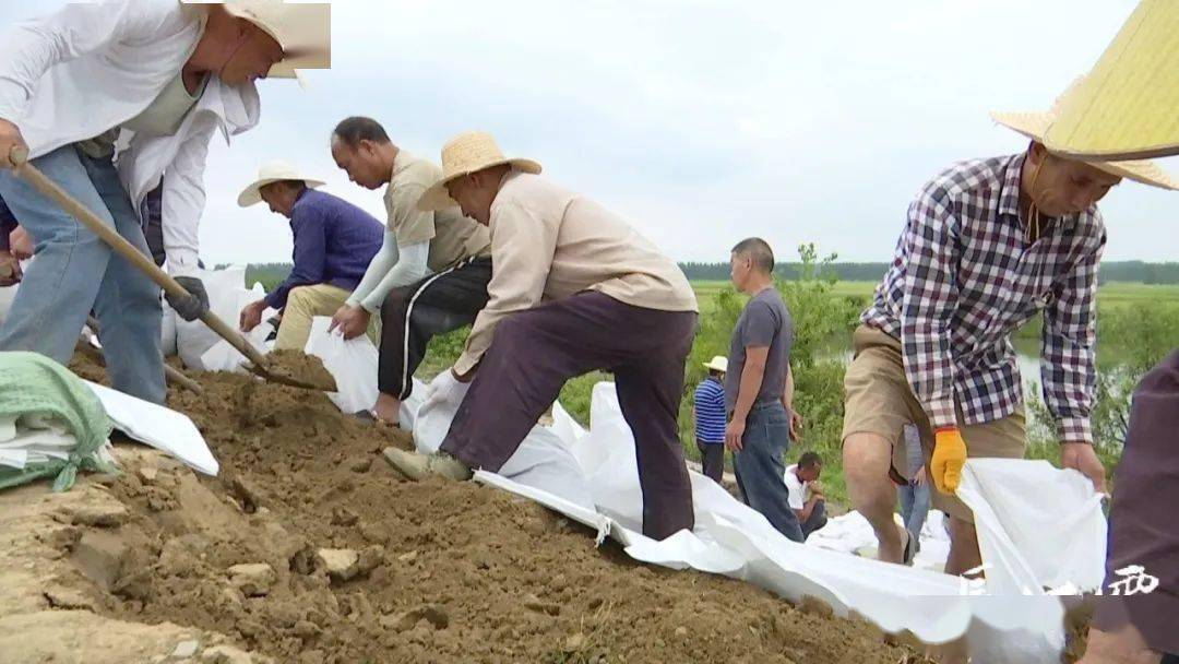 仙桃:汉江水位持续超警 东荆河除险"拉据战"_杨林尾镇