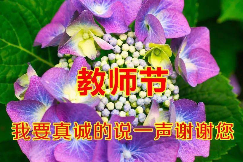 教师节温馨祝福所有老师们动态表情图片,2021最新有创意的教师节祝福