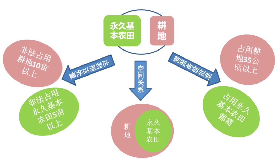 永久基本农田和耕地有什么关系如何划分与管理永久基本农田