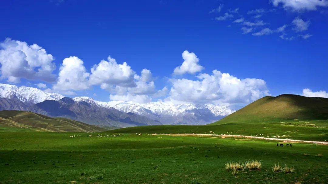 和田昆仑天路风景-策勒县板兰格牧场