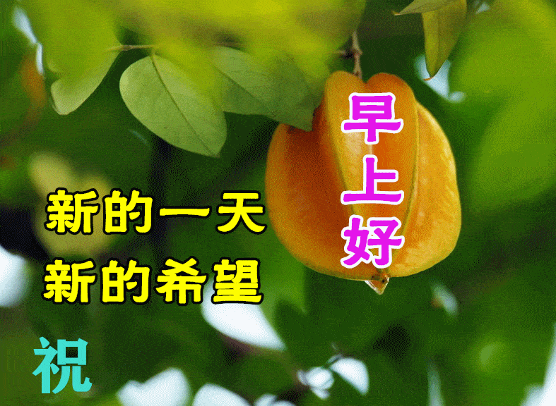 9月15日早上好动态表情图片大全,早晨好动图美图大全