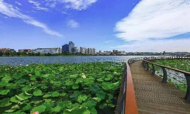 城市体检 | 遂宁:城市体检"把脉问诊" 助力"西部水都"