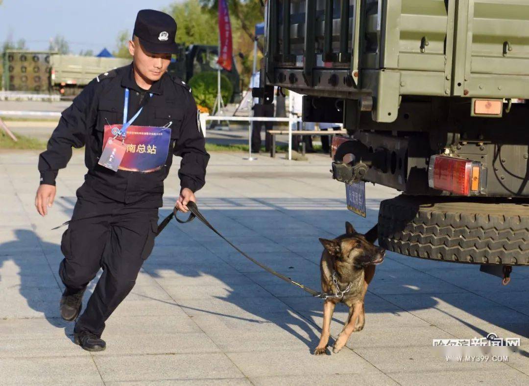 警犬武状元诞生龙江战队包揽全部3项比武冠军