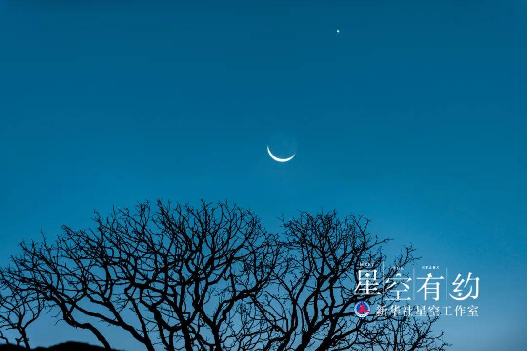 天文|金星迎来观测季，12月4日将达全年最亮