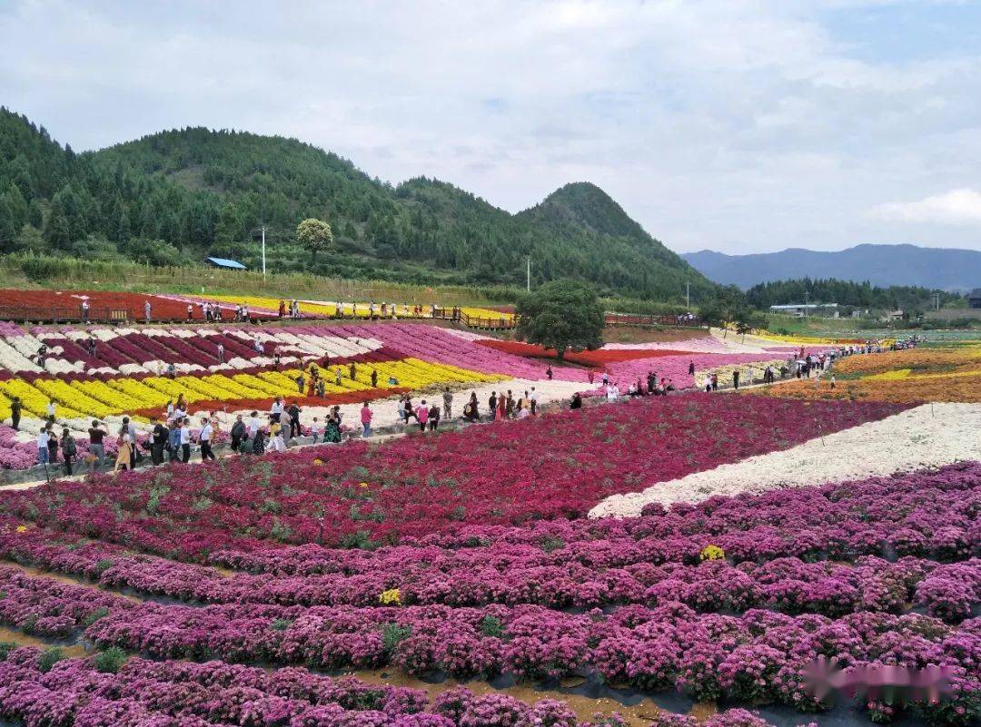 麻江药谷江村景区据发布会消息,黔东南州第十三届旅游产业发展大会将