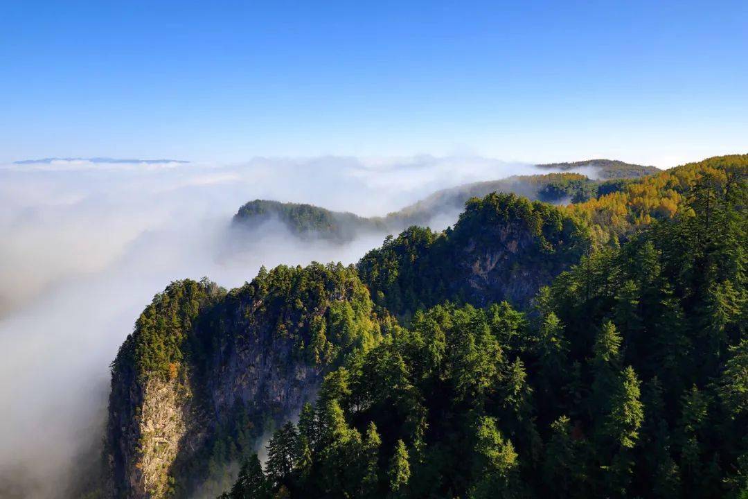 漳县贵清山