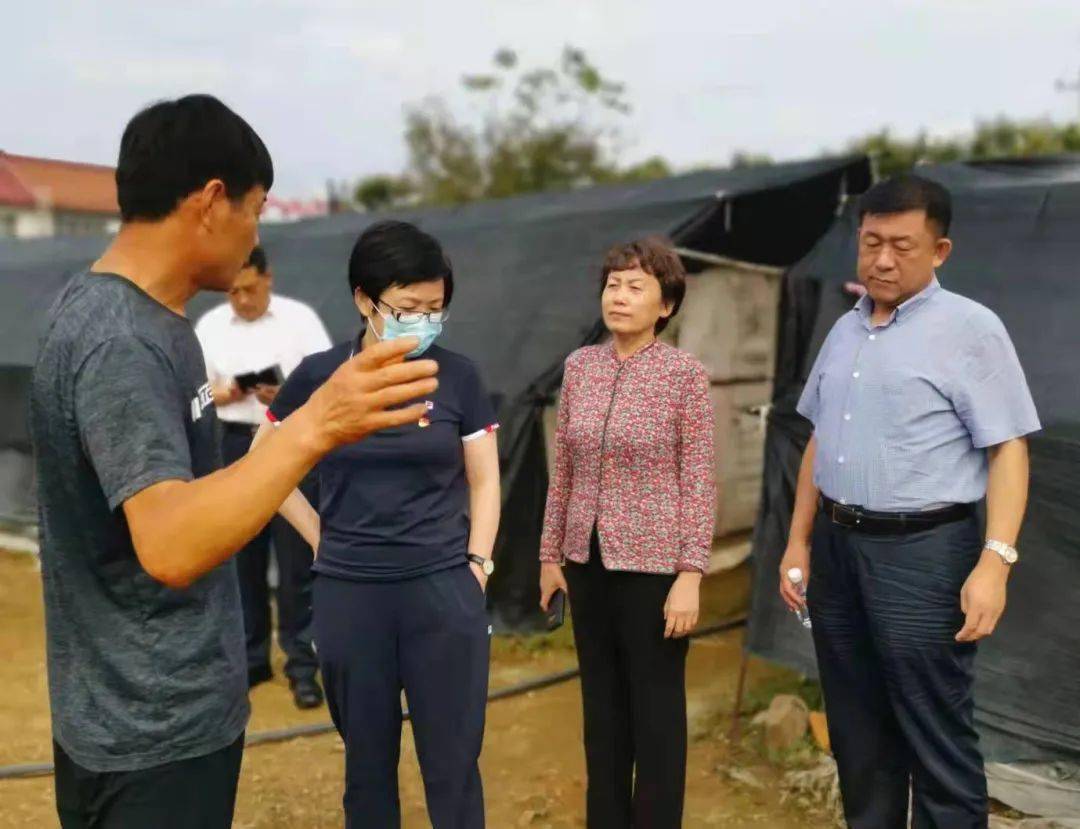 局党组书记,局长冀桂梅赴迁西县白庙子乡黑洼村调研指导驻村帮扶工作