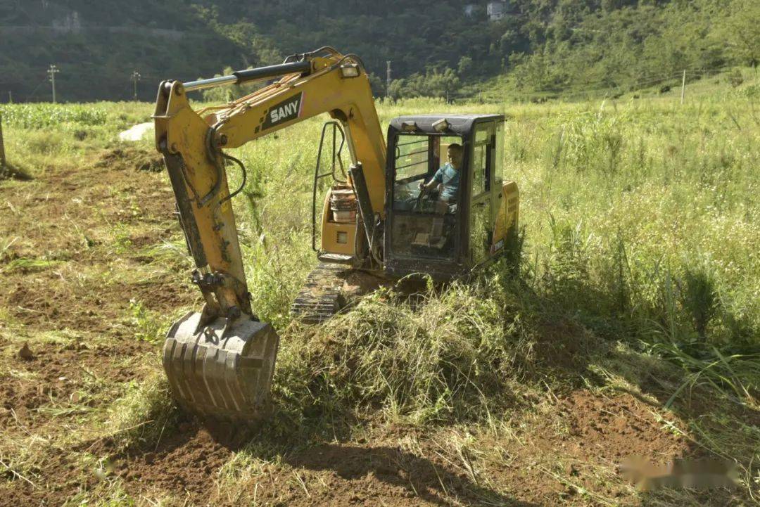 贫瘠旱地变良田—大化瑶族自治县旱地改水田项目建设侧记