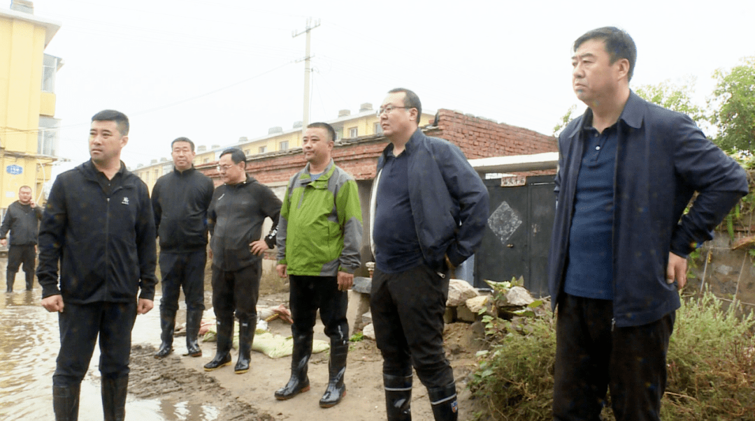 代县长杨家佳到彰武镇三家子村调研