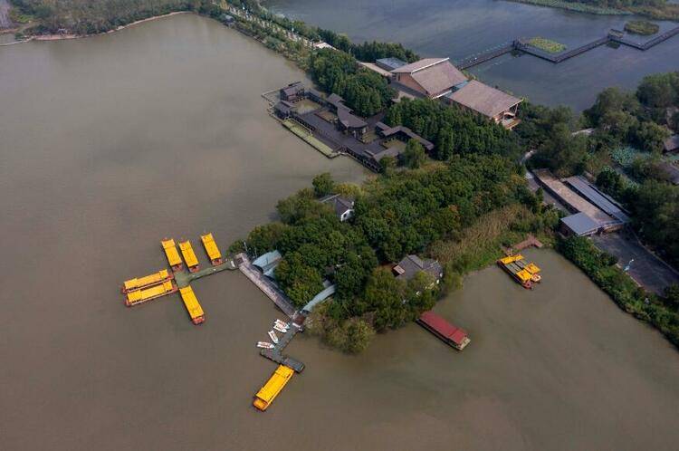 洼地|泰州溱湖湿地秋景如画