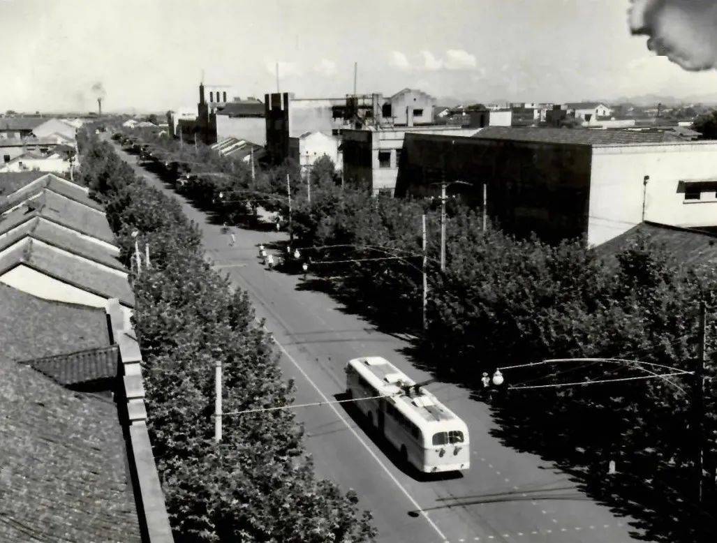 杭州市中心这条道路,已有千年历史!这些老照片,你看过