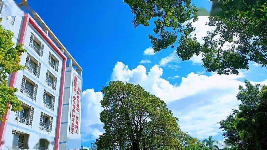 "一所学校,校名可改,校址可迁,但师生的"龙脉"永恒"——专访华侨中学