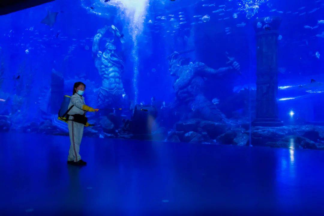 凯德|最新！哈尔滨多家大商场、景区恢复营业