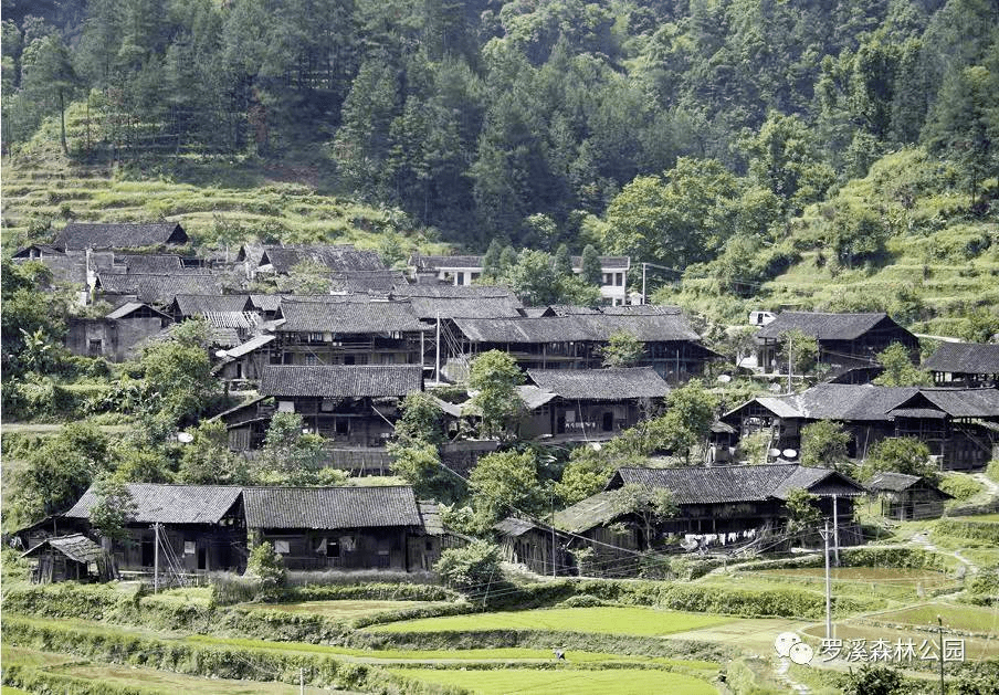 邵阳人 游邵阳丨洞口罗溪:神奇的绿洲