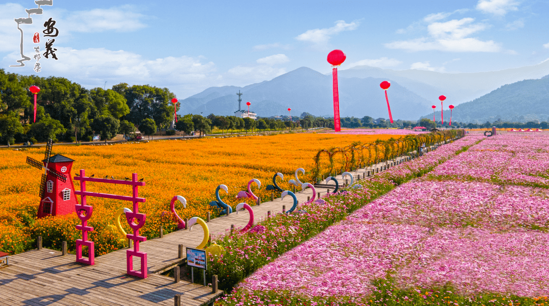 九九重阳节,浓浓敬老情丨安义古村群景区优惠政策来袭!