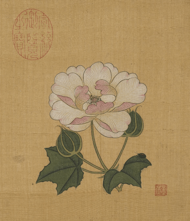 明 陈洪绶《杂画册·木芙蓉》 台北故宫博物院藏