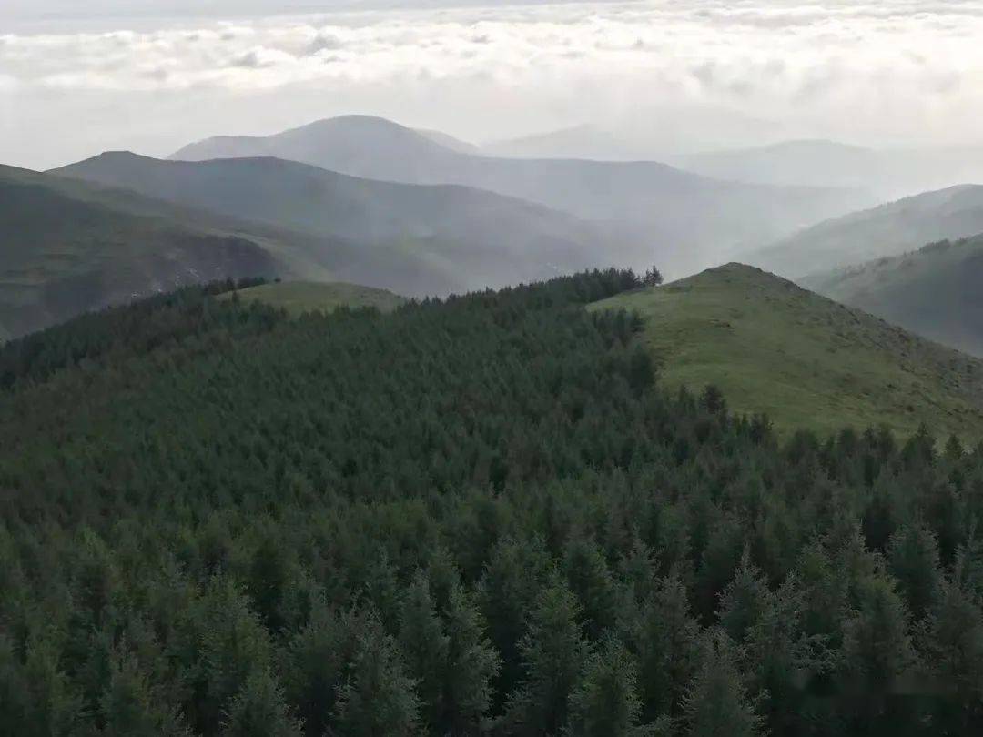大青山国家森林公园