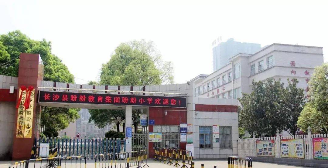 长沙小学名师数量公布!这所小学是大赢家!