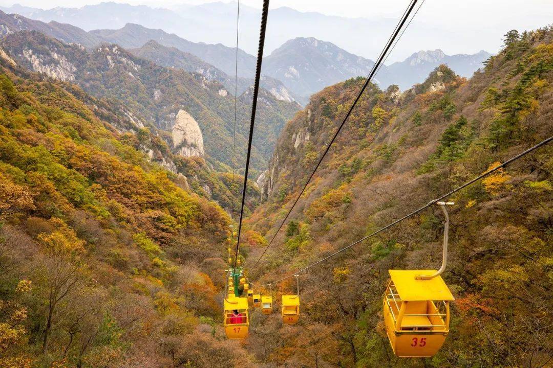 泡温泉赏红叶整整一个月尧山风景区免门票啦