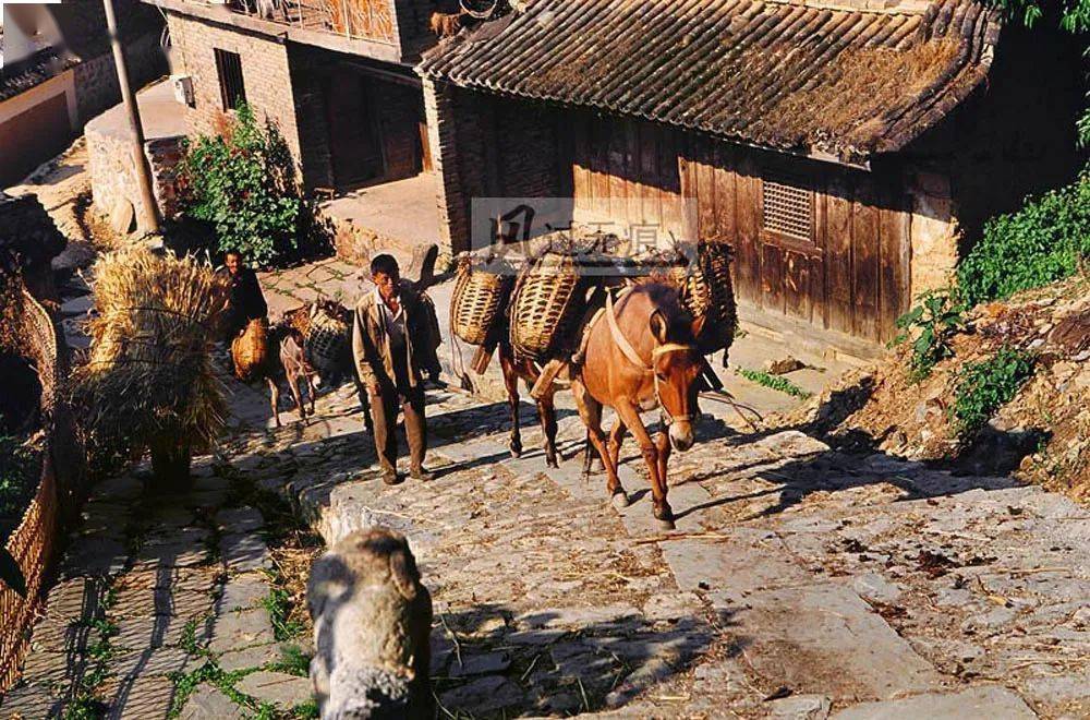 临沧有神韵:茶马古道"小上海,鲁史古镇新时空_凤庆县