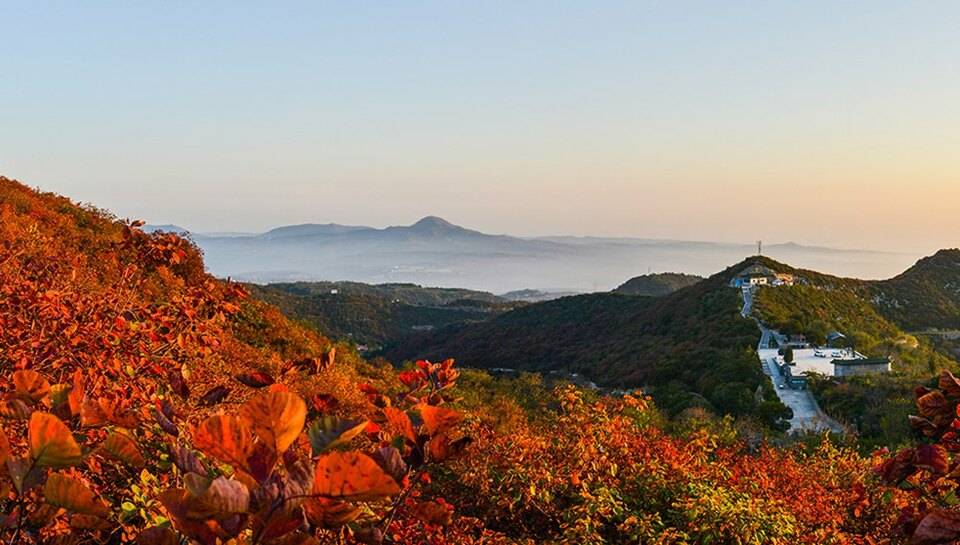 远山|河南巩义长寿山：漫山红遍 层林尽染秋意浓