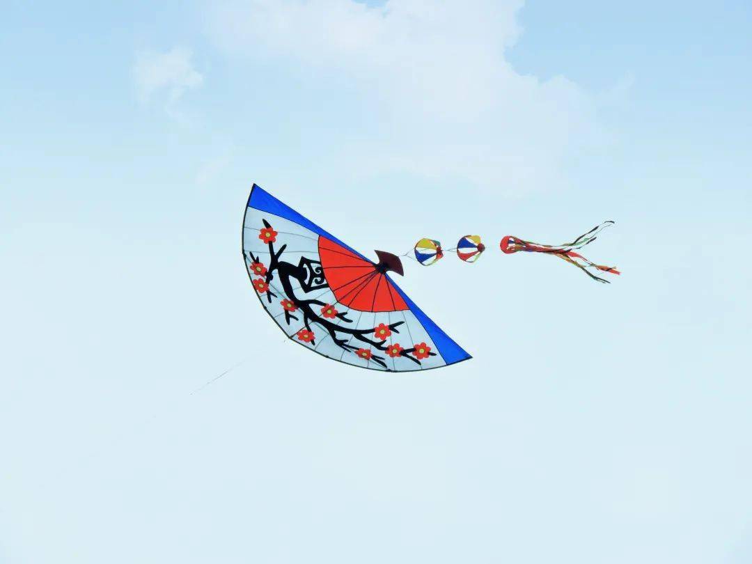 【玩转海湾】 上美海湾,放飞梦想〡2021上海旅游节第24届旅游风筝会