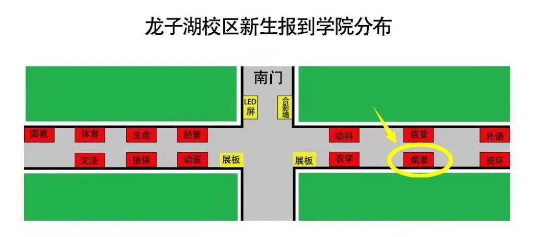 萌新秘籍 | 这份"新生报到指南",你get了吗?_龙子湖